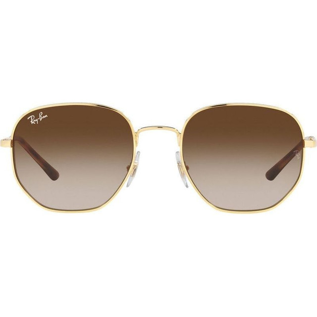 RB3682 - Arista/Brown Gradient Lenses