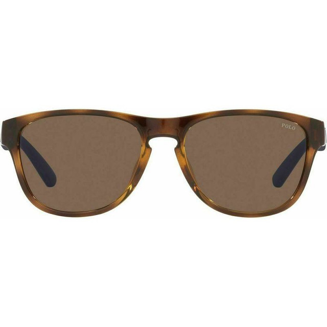 Polo Ralph Lauren PH4180U - Shiny Havana/Brown Lenses