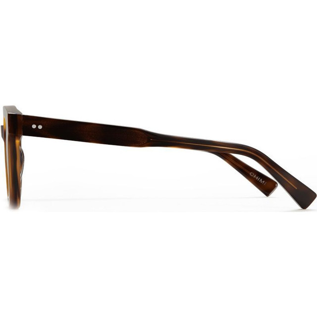 02 - Tortoise/Brown Polarised Lenses