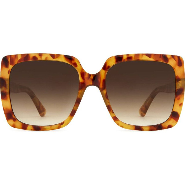 Carve Luna - Gloss Amber Tort/Brown Gradient Lenses