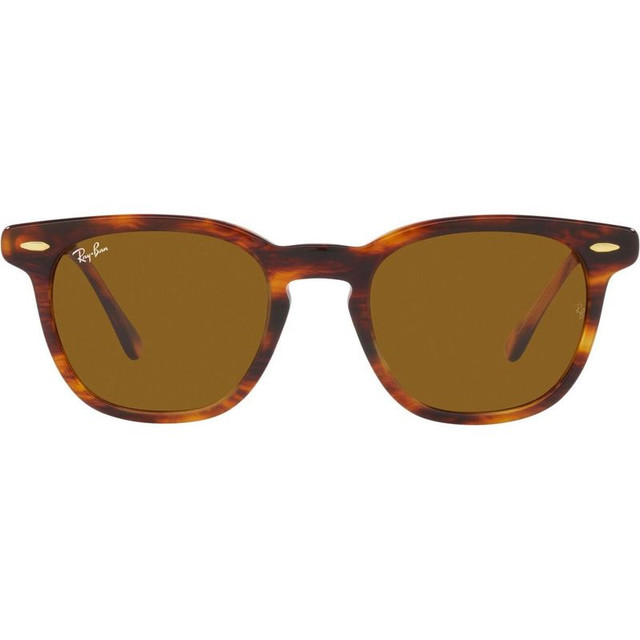 Hawkeye RB2298 - Striped Havana/Brown Gradient Glass Lenses 50 Eye Size