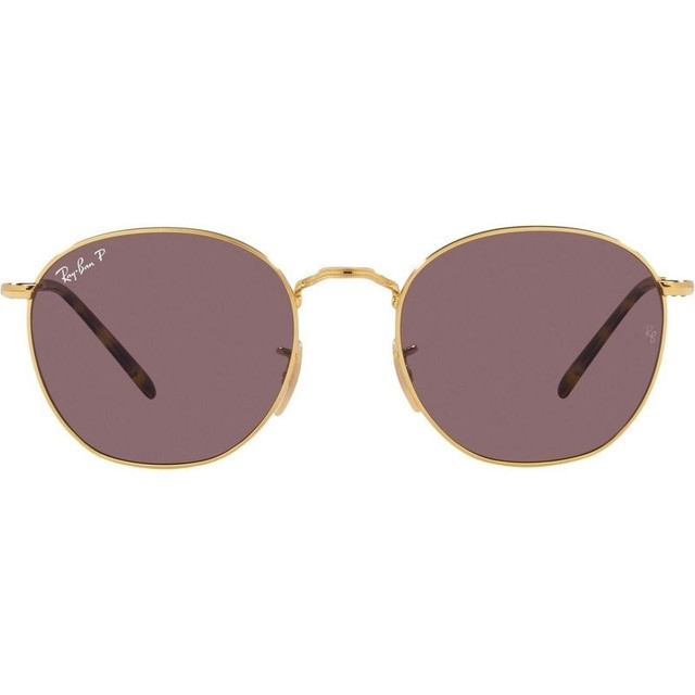 Ray-Ban Rob RB3772 - Arista/Dark Violet Polarised Glass Lenses