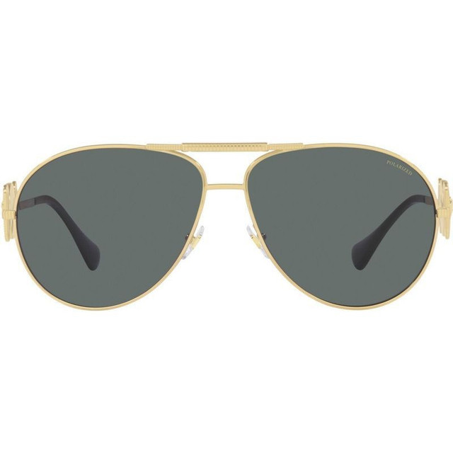 VE2249 - Gold/Grey Polarised Lenses