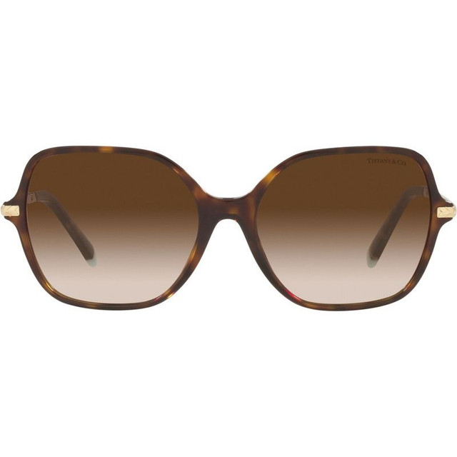 TF4191 - Havana/Brown Gradient Lenses