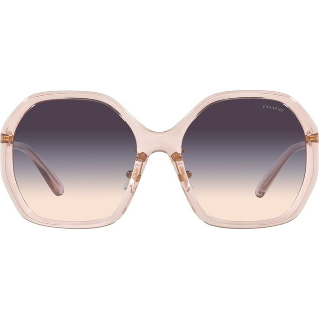 Coach HC8343 - Transparent Pink/Brown Blue Violet Gradient Lenses