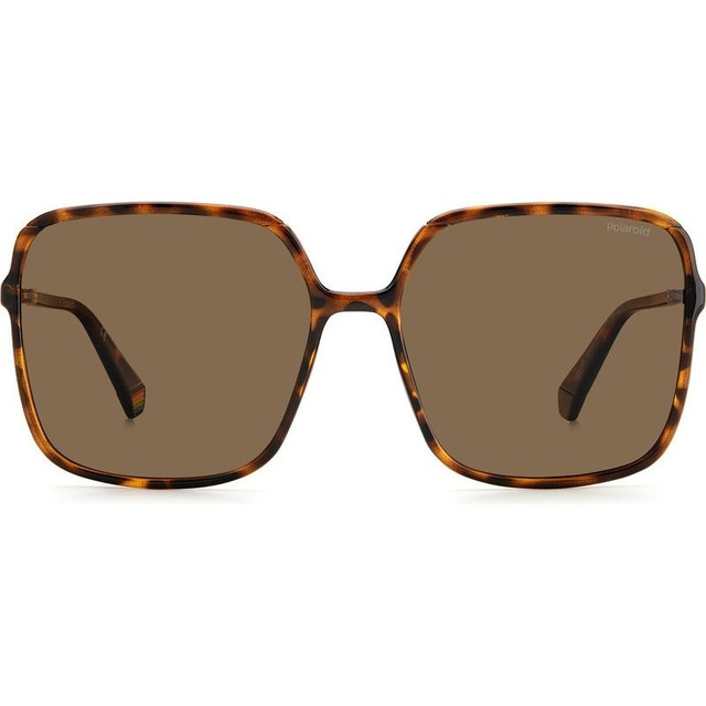 P6128/S - Havana Brown/Bronze Polarised Lenses