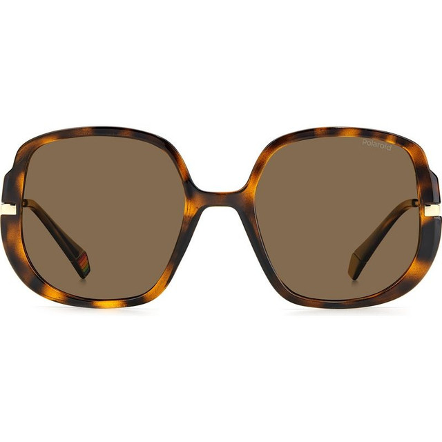 P6181/S - Dark Havana/Bronze Polarised Lenses