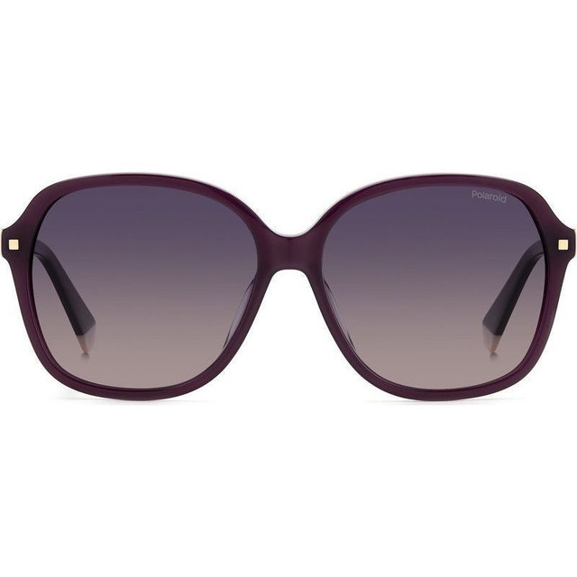 PLD 4112/F/S/X - Violet/Violet Gradient Polarised Lenses