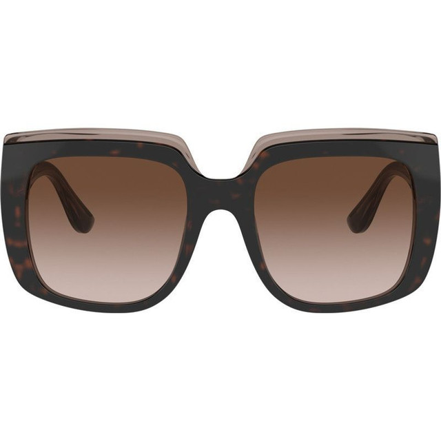 DG4414F - Havana on Transparent Brown/Brown Gradient Lenses