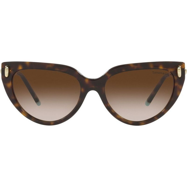 TF4195 - Havana/Brown Gradient Lenses