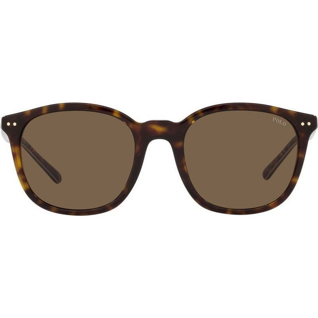 Polo Ralph Lauren PH4188 - Shiny Dark Havana/Brown Lenses