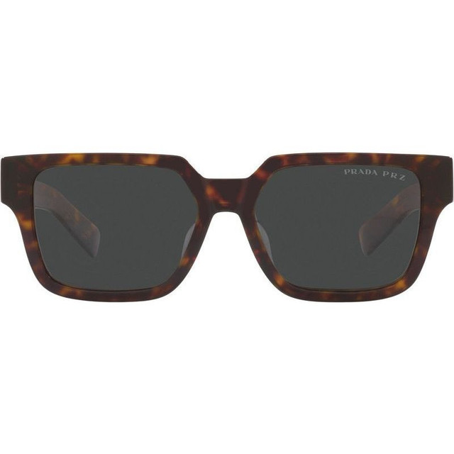 PR03ZSF - Tortoise/Black Polarised Glass Lenses