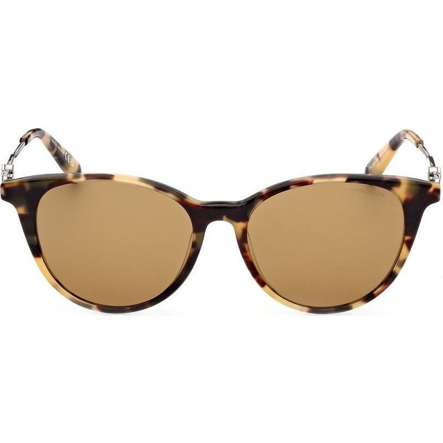 Moncler ML0226 - Coloured Havana/Green Lenses