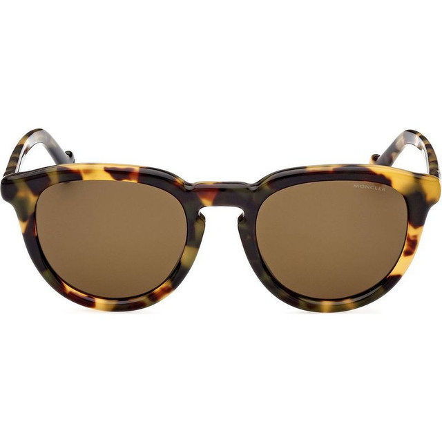 Moncler ML0229 - Coloured Havana/Roviex Lenses