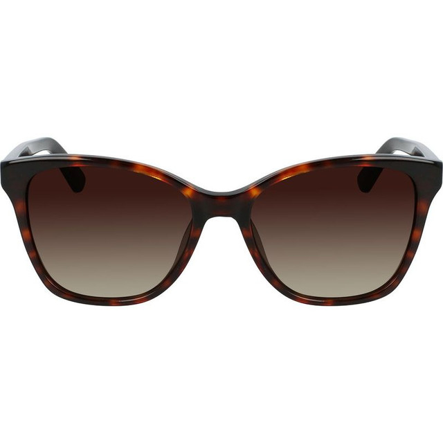 CK21529S - Havana/Brown Gradient Lenses