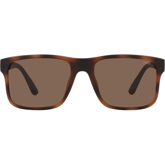 Polo Ralph Lauren PH4195U - Matte Brown Havana/Brown Lenses