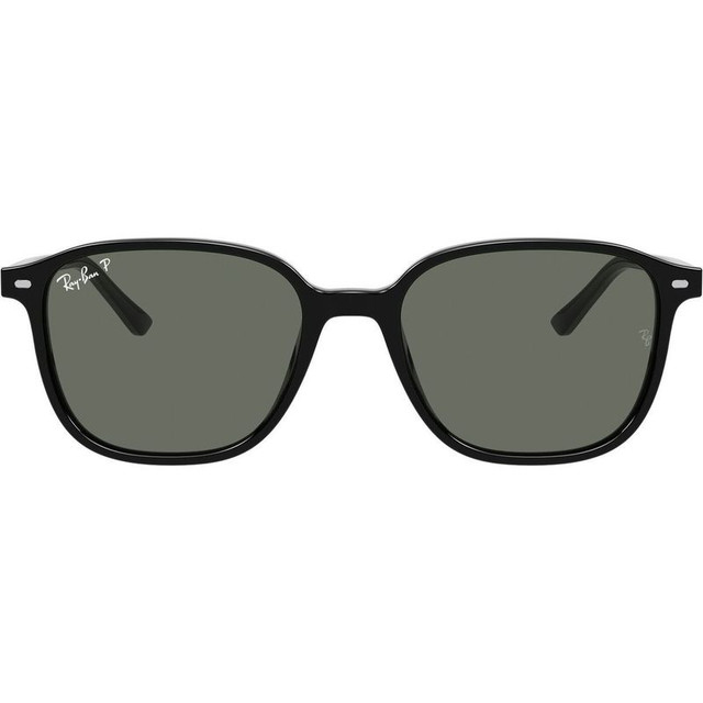 Ray-Ban Leonard RB2193 - Black/Green Glass Polarised Lenses 55 Eye Size