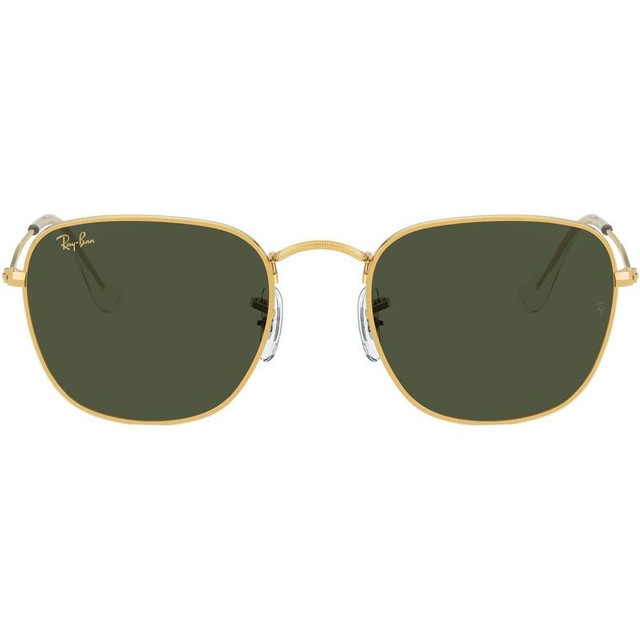 Ray-Ban Frank RB3857 - Legend Gold/G15 Green Glass Lenses 54 Eye Size