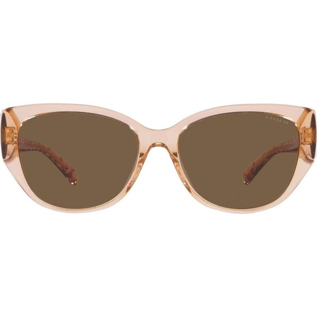 Coach HC8362U - Transparent Brown/Brown Lenses