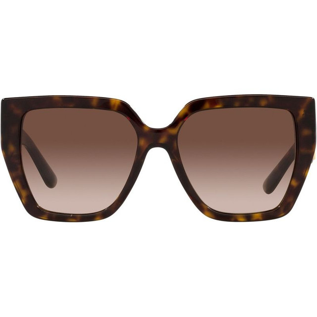 DG4438 - Havana/Brown Gradient Lenses