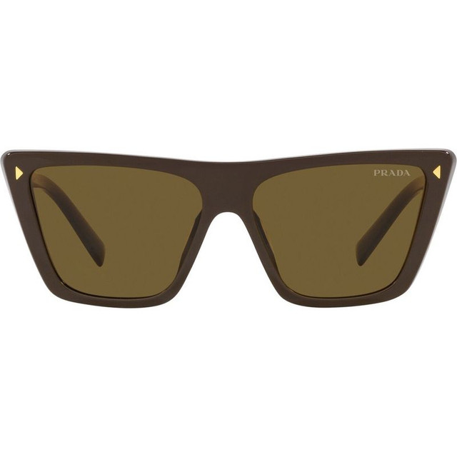 PR21ZS - Loden/Dark Brown Lenses