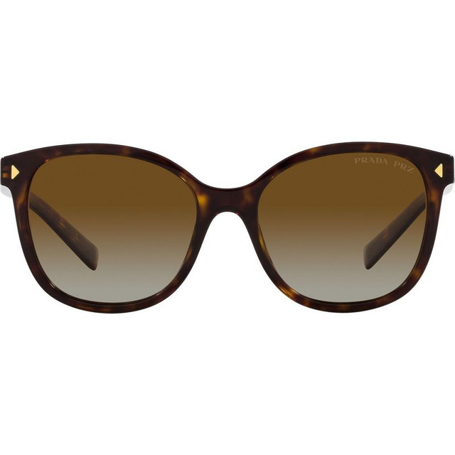 PR22ZS - Tortoise/Brown Gradient Polarised Lenses