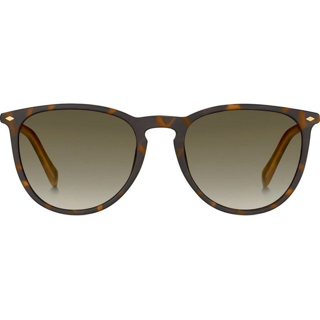 3078/S - Havana/Brown Gradient Lenses