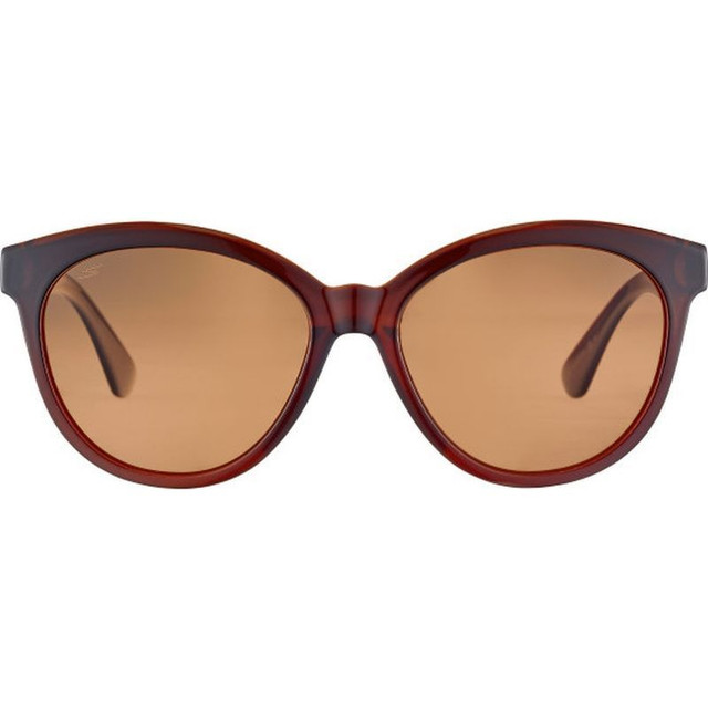 Endee - Shiny Brown Spray/Drivers Saturn Polarised Photochromic Lenses