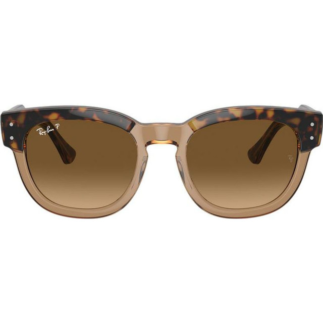 Mega Hawkeye RB0298S - Havana on Transparent Brown/Brown Gradient Polarised Glass Lenses