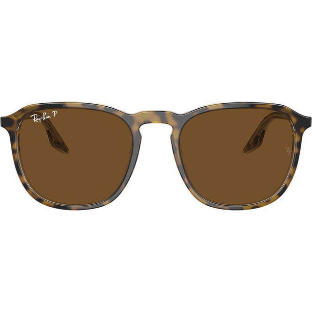 RB2203 - Havana on Transparent/Brown Polarised Glass Lenses 55 Eye Size