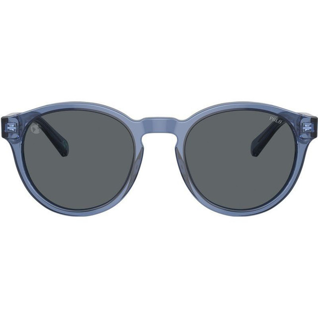 Polo Ralph Lauren PH4192 - Shiny Transparent Blue/Light Grey Lenses