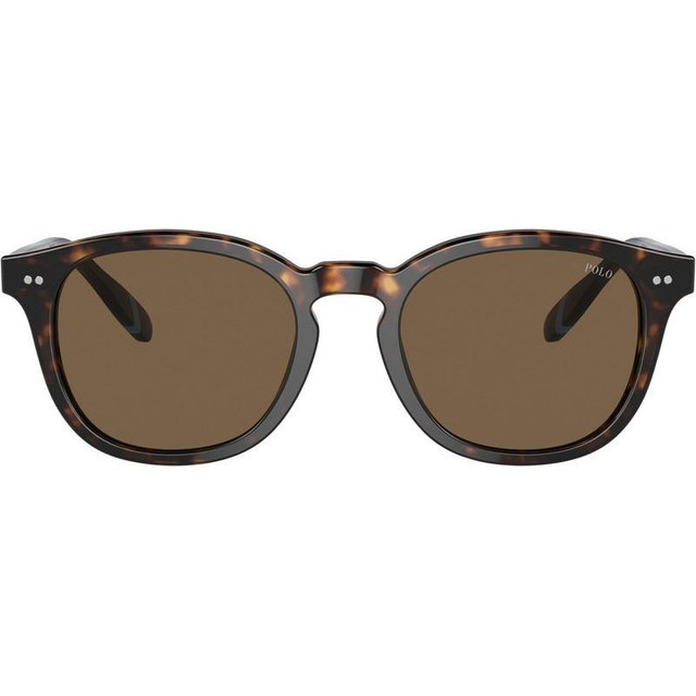 PH4206 - Shiny Dark Havana/Brown Lenses