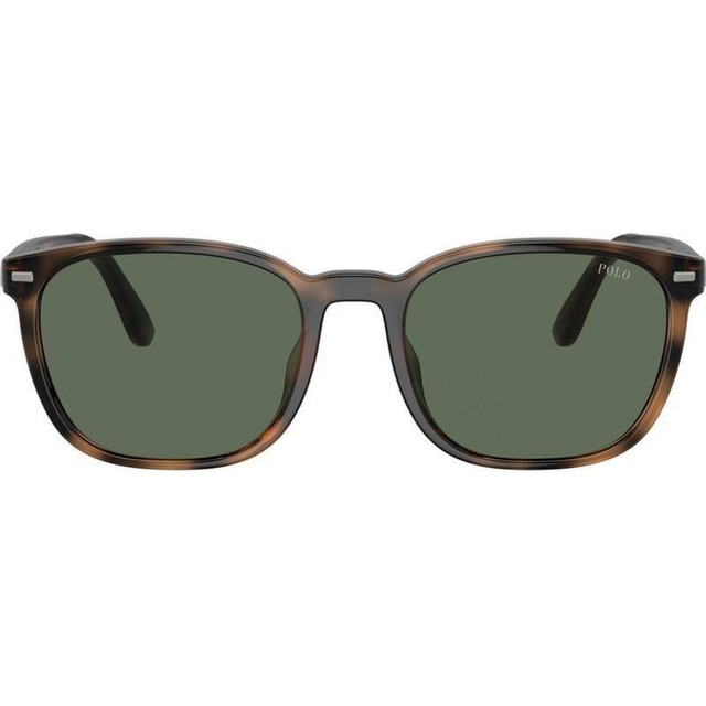 PH4208U - Shiny Havana/Bottle Green Lenses