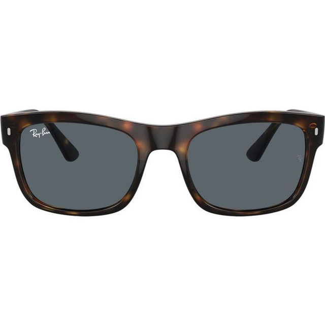 Ray-Ban RB4428 - Havana/Blue Glass Lenses