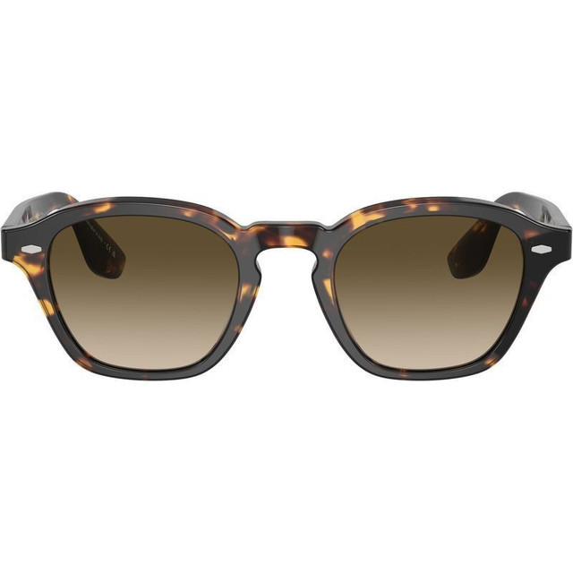 Oliver Peoples Peppe OV5517SU - Dm2/Chrome Olive Photochromic Glass Lenses