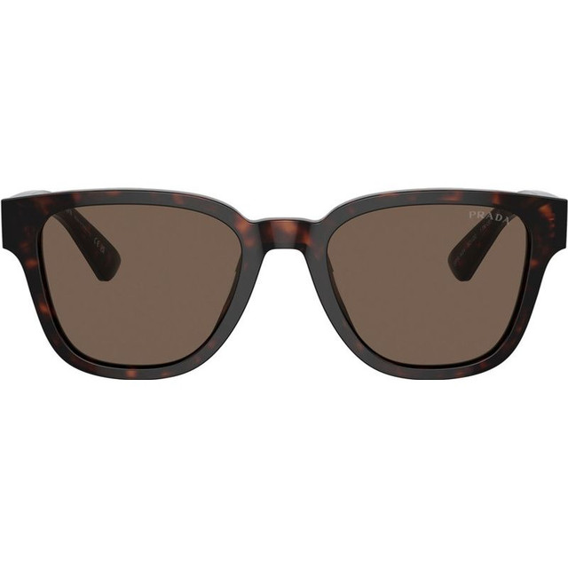 PRA04S - Havana/Brown Glass Lenses