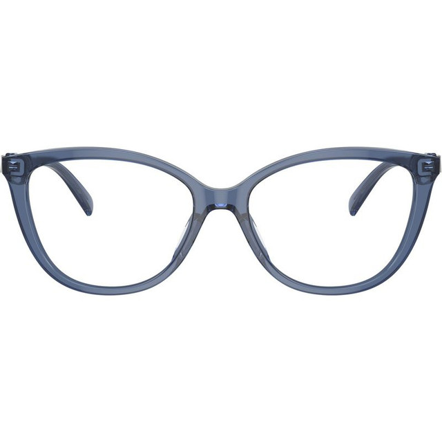 Westminster MK4109U - Blue Transparent/Clear Lenses 54 Eye Size