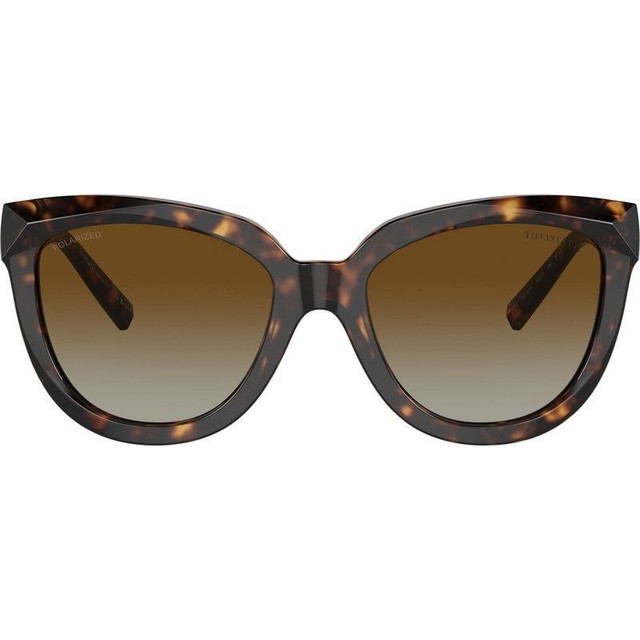 TF4215 - Havana/Brown Gradient Polarised Lenses