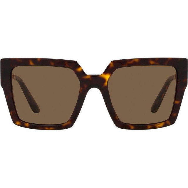 DG4446B - Havana/Dark Brown Lenses