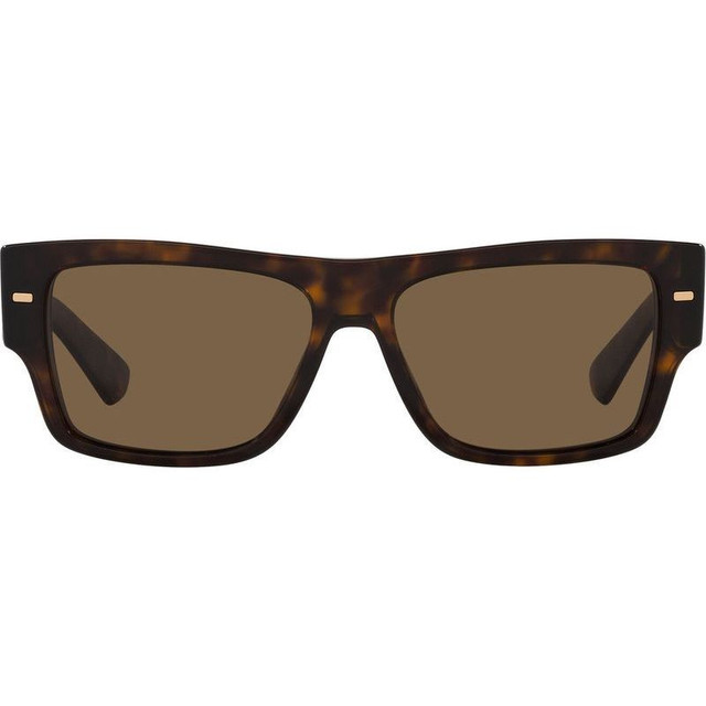 DG4451 - Havana/Dark Brown Lenses