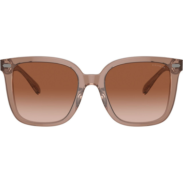 Coach HC8381U - Brown/Brown Gradient Lenses