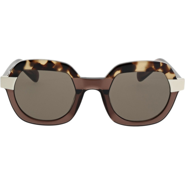 Webb - Trans Brown and Tortoiseshell/Dark Brown Lenses