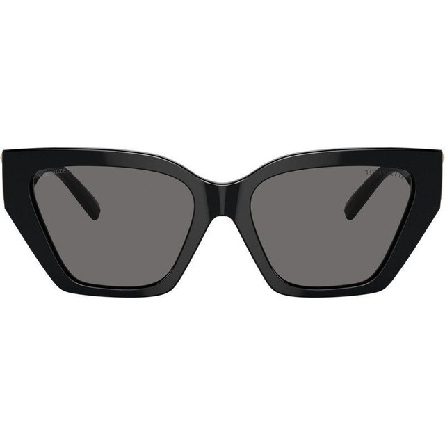 TF4218 - Black/Dark Grey Polarised Lenses