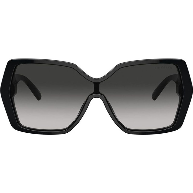 TF4219F - Black/Grey Gradient Lenses