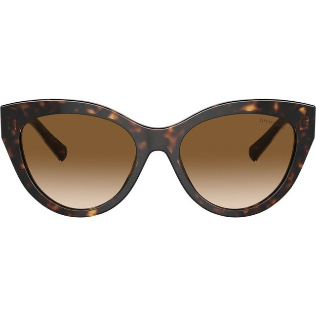 TF4220 - Havana/Clear and Brown Gradient Lenses