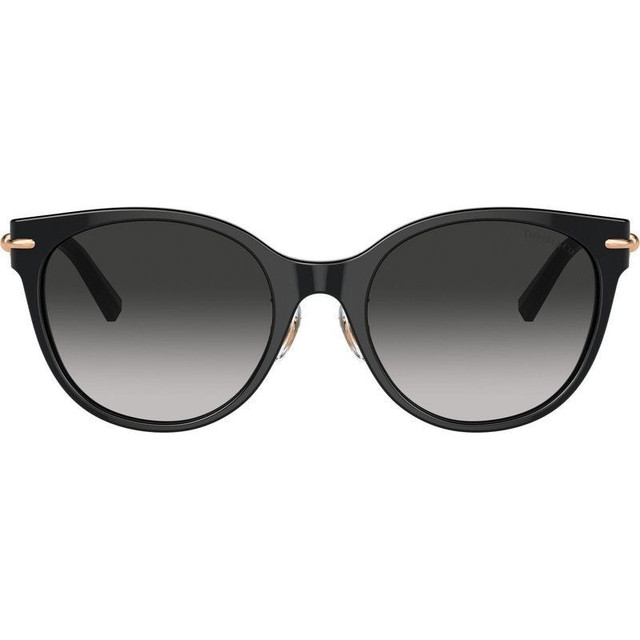 Tiffany & Co. TF4223D - Black/Grey Gradient Lenses