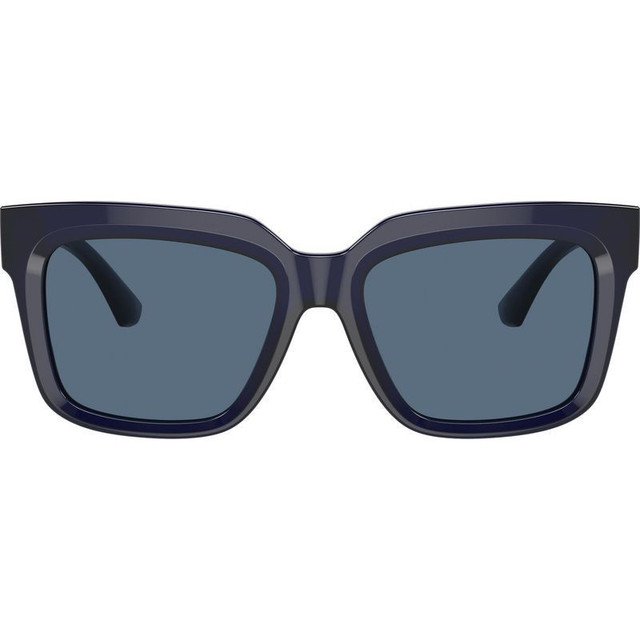 BE4419 - Blue/Dark Blue Lenses