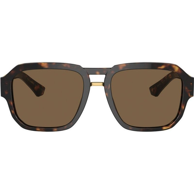 DG4464 - Havana/Dark Brown Lenses