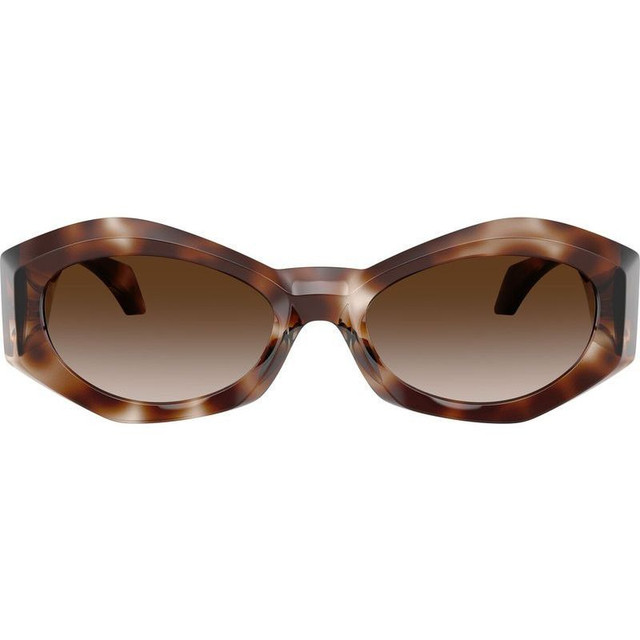 VE4466U - Havana/Brown Gradient Lenses