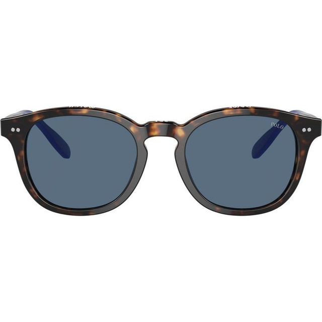 Polo Ralph Lauren PH4206 - Shiny Havana/Blue Lenses